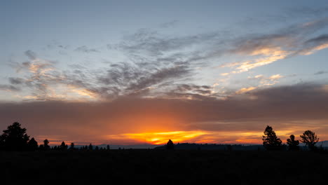vibrant sunset over a silhouetted forest landscape