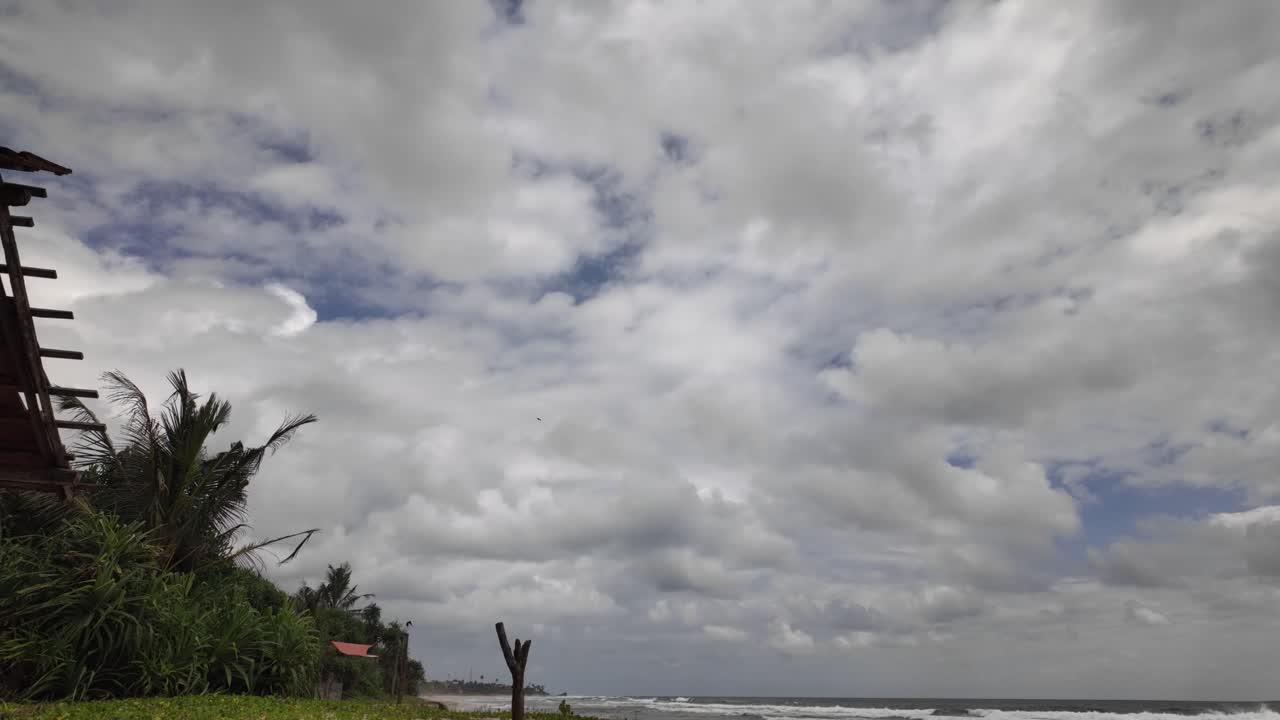 Cloudy skyline tropical coastline beach Indian Ocean dark green exotic plants