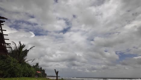 cloudy skyline tropical coastline beach indian ocean dark green exotic plants