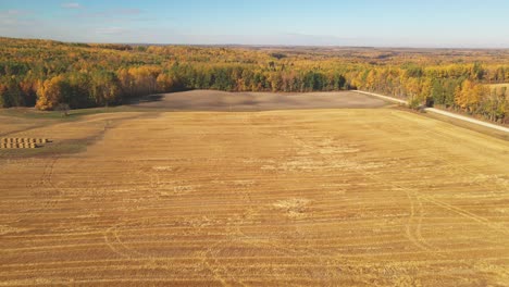 dolly-forward-drone-shot-flying-over-cultivated-field-on-a-sunny-day-on-a-farm-in-Alberta,-Canada-in-the-autumn-with-colourful-trees-in-the-background