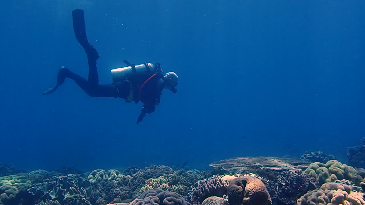 buzo explorando un hermoso arrecife de coral