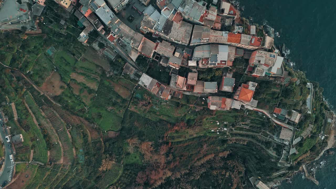 Aerial top down pan Corniglia, Cinque Terre, Italy, terraced vineyards and colorful coastal buildings looking over water