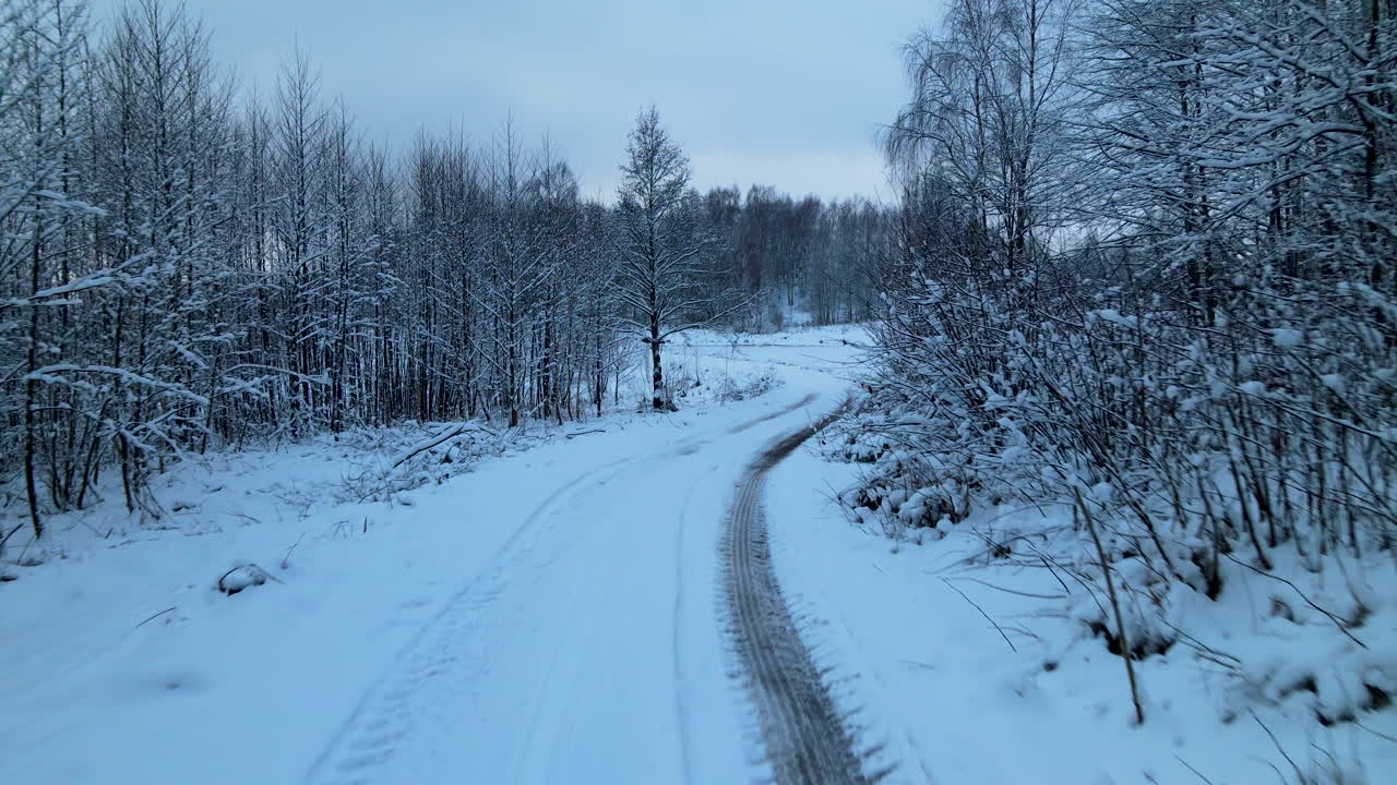 폴란드의 아름다운 하얀 겨울날 숲 나무로 둘러싸인 눈 덮인 시골 길을 따라 공중 뒤로 촬영