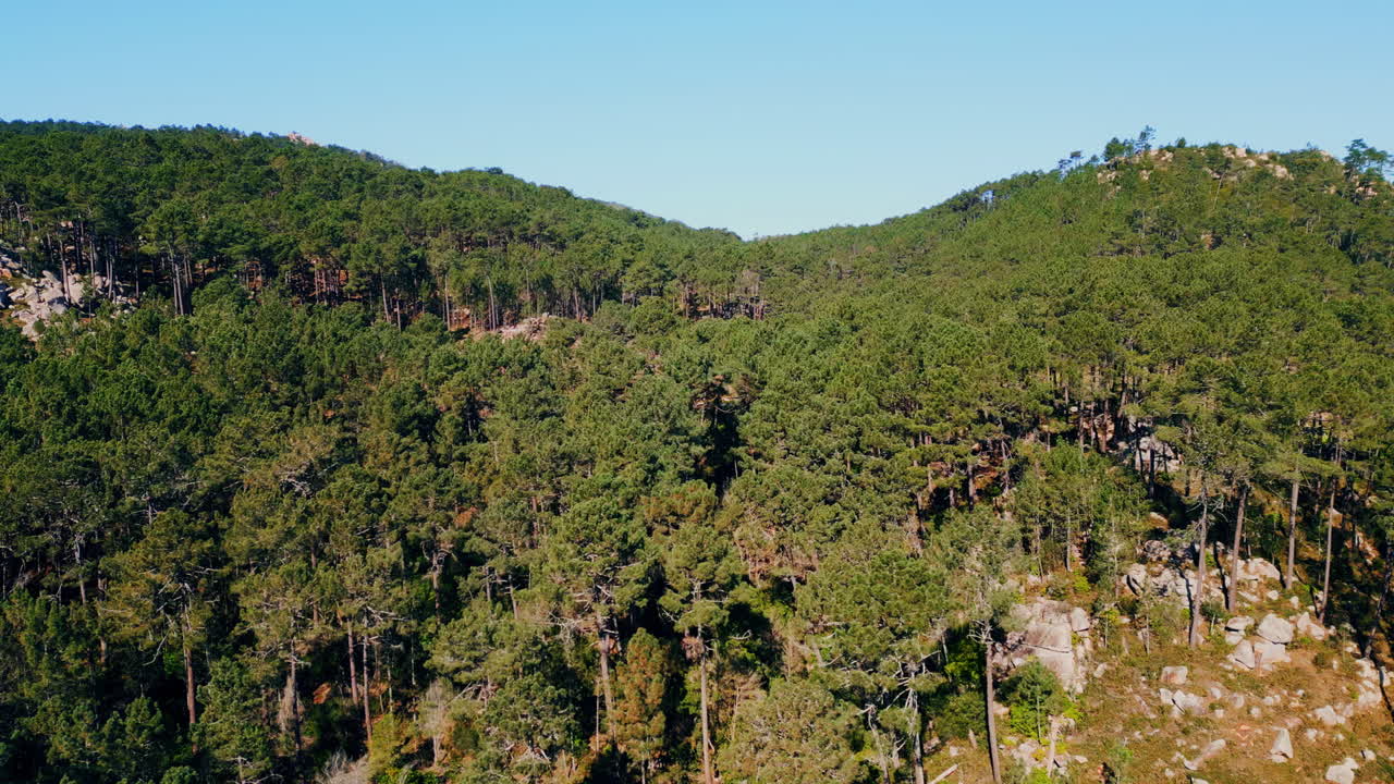 공중에서 볼 수 있는 숲, 푸른 하늘 아래의 언덕, 상록 나무, 돌이 많은 경사