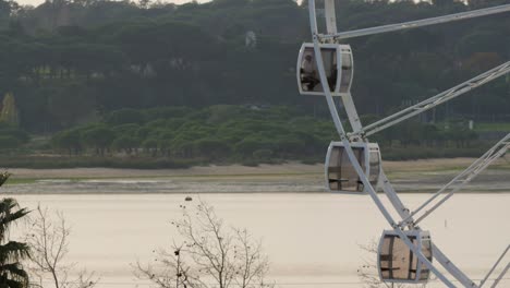 gabinetes de ruedas de ferris girando, paisaje junto al río