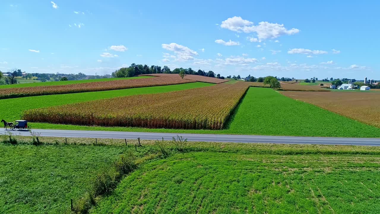 곧 추수될 농장, 사일로, 농지의 조감도, 아미쉬 말과 버기카가 슬로우 모션으로 이동합니다.