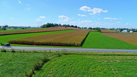 Eine-Luftaufnahme-Von-Bauernhöfen,-Silos-Und-Ackerland,-Die-Bald-Abgeerntet-Werden,-Während-Ein-Amish-Pferd-Und--Buggy-In-Zeitlupe-Durch-Sie-Hindurchfahren