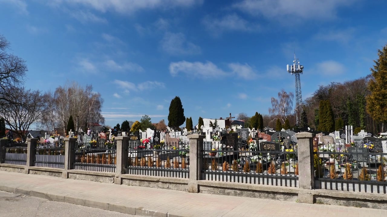 Warm zonlicht filtert door Baltische dennen op historische zeegraven en kustmonumenten op de vredige, zanderige begraafplaats van Jastarnia op het Poolse schiereiland Hel