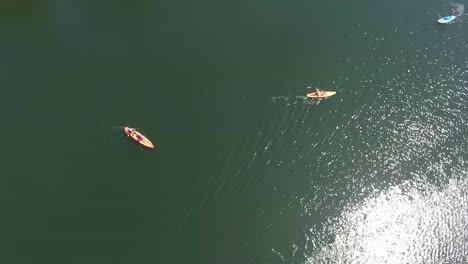 aerial view of kayakers and paddleboarders on a calm lake
