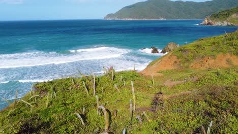 cactus, colinas verdes y mar turquesa en el parque tayrona en colombia