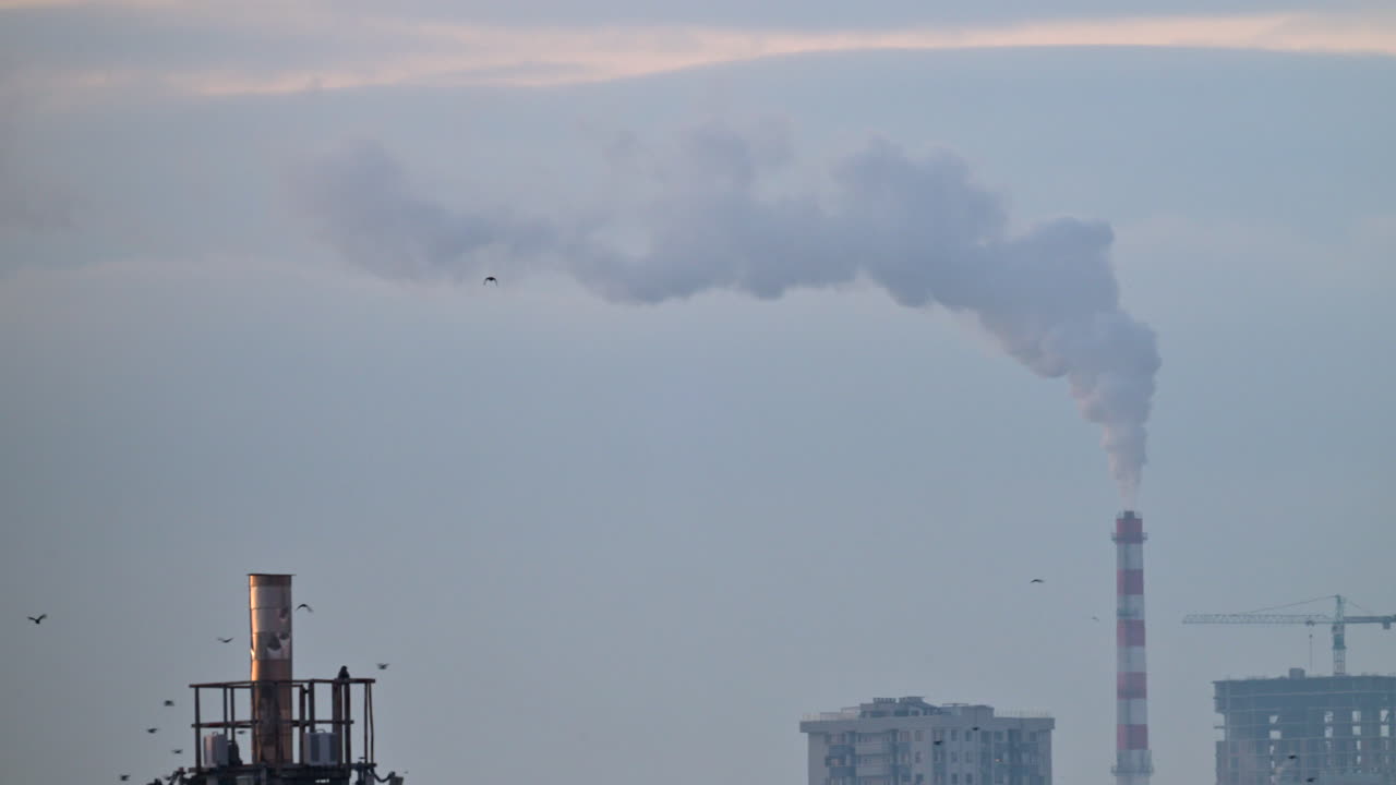 Tejados de la ciudad en un frío día de invierno con múltiples chimeneas soltando humo blanco hacia un cielo pálido.