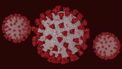 animation of three cells infected with novel coronavirus