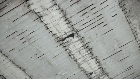 view under bridge with weathered concrete bands filled with black dirt or moss