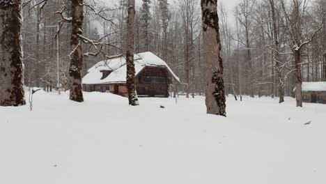 drone aéreo de la casa nórdica de invierno europea - clasificado