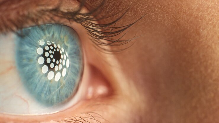 Eyes, vision and healthcare with the eye
