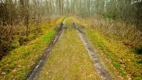 car wheel traces in mud on remote winter forest path pov forward