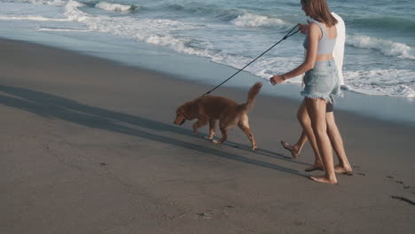 two people walking dog on beach