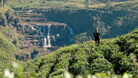editorial drone shot of a woman walking through the lush saint clair’s tea plantations in nuwara eliya, sri lanka, with the iconic saint clair’s waterfall visible in the background.