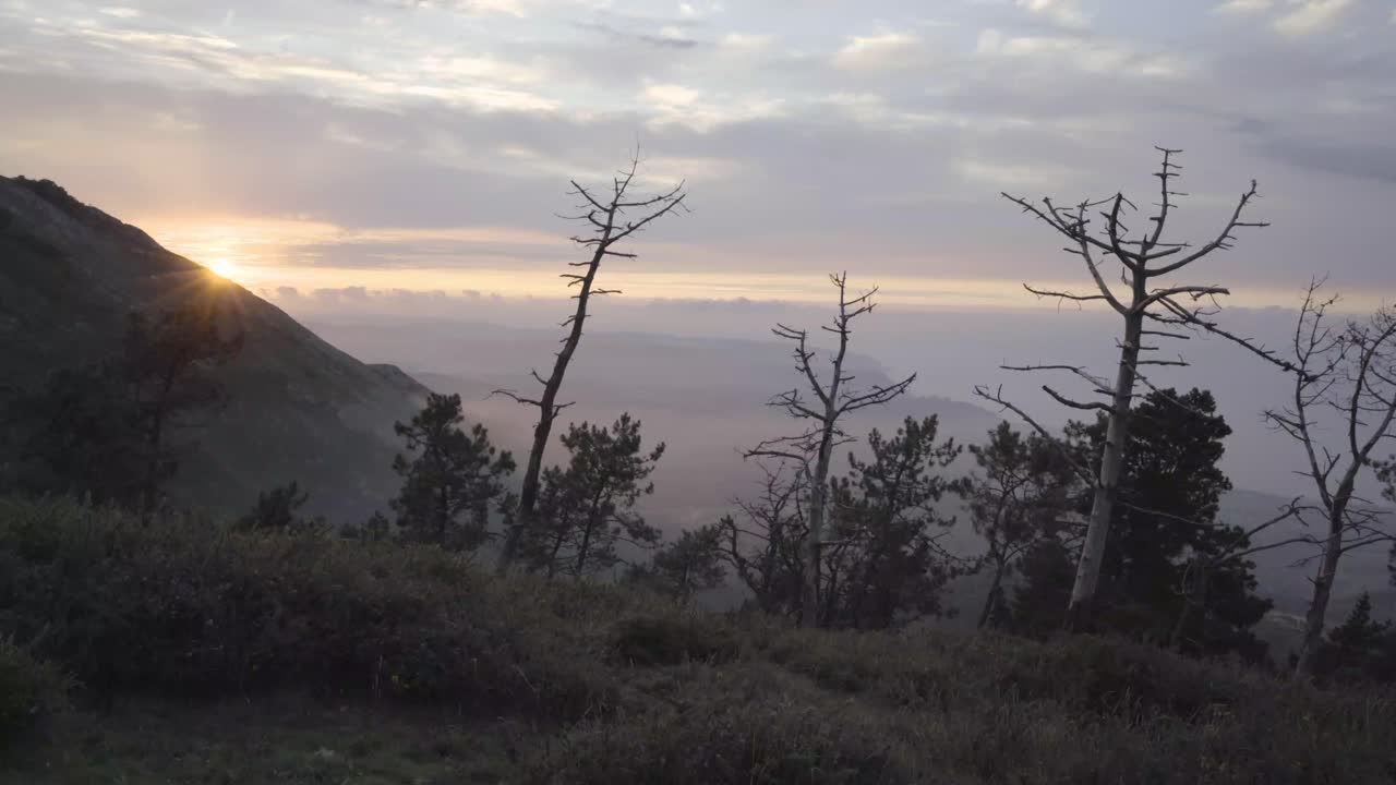 Beautiful sunset in wild landscape, trees at the foreground, mountains, cloudy sky, static shot