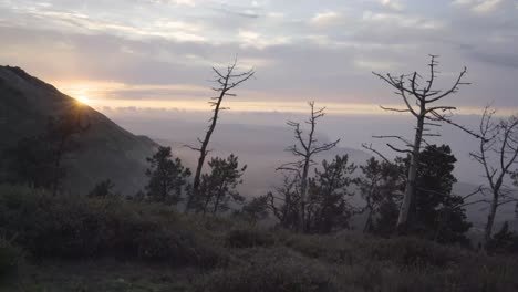 beautiful sunset in wild landscape, trees at the foreground, mountains, cloudy sky, static shot