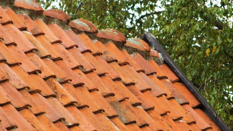 view of red clay tiles on an old house rooftop, sunny day, medium shot