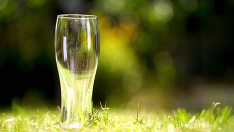 Empty glass for beer on a grass. Tall glass without any drink on grass background. Close-up.