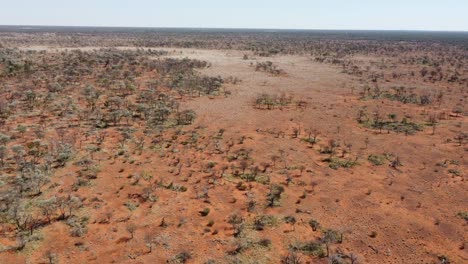 Drone-Volando-Hacia-Una-&quot;parche-Audaz&quot;-En-El-Interior-De-Australia