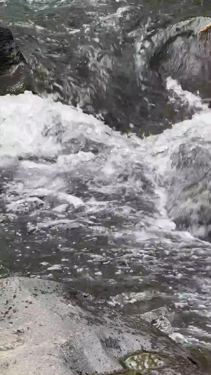 Acqua limpida che scorre su rocce scure in un ruscello di montagna