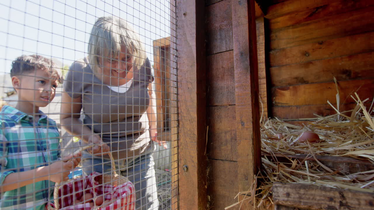 una abuela y un nieto bi-raciales felices recogiendo huevos del gallinero, en cámara lenta