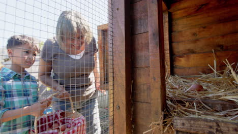 Happy-biracial-grandmother-and-grandson-picking-eggs-from-henhouse,-slow-motion