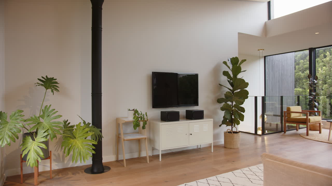 Modern living room with large TV, indoor plants, and minimalist decor, copy space