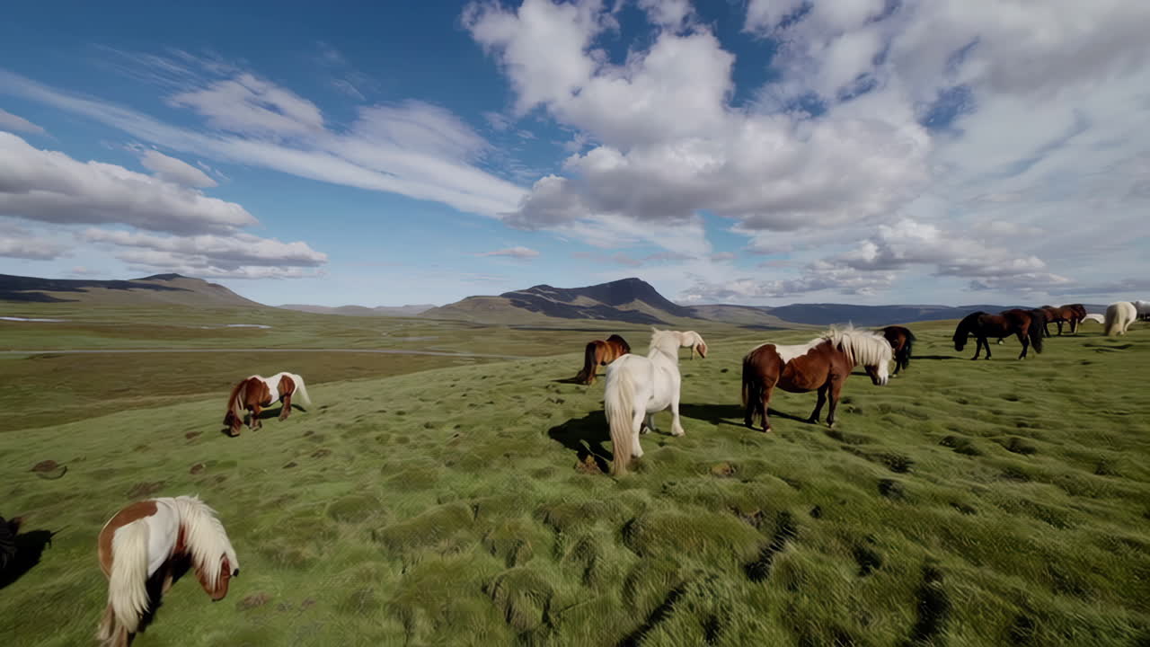 Herd of Horses Grazing in a Green Mountain Landscape