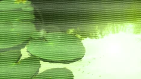 fondo de movimiento animado generado por computadora para la producción de películas de video web