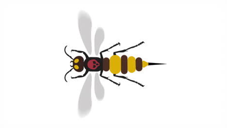 murder hornet in flight, animation cartoon, looping video, white background vertical video