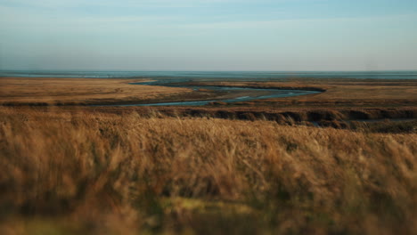 panorama seaside coastline grass in the wind island fanø in denmark near the beach and sea