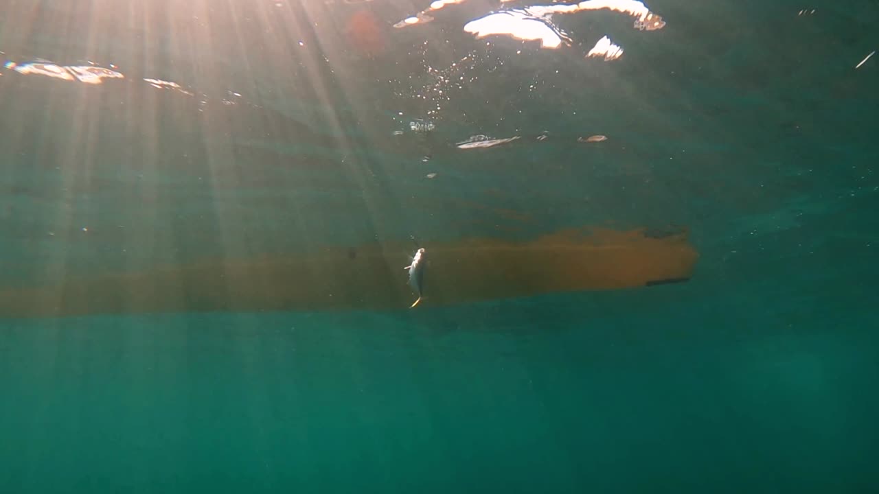 pesca en kayak, pesca al curricán