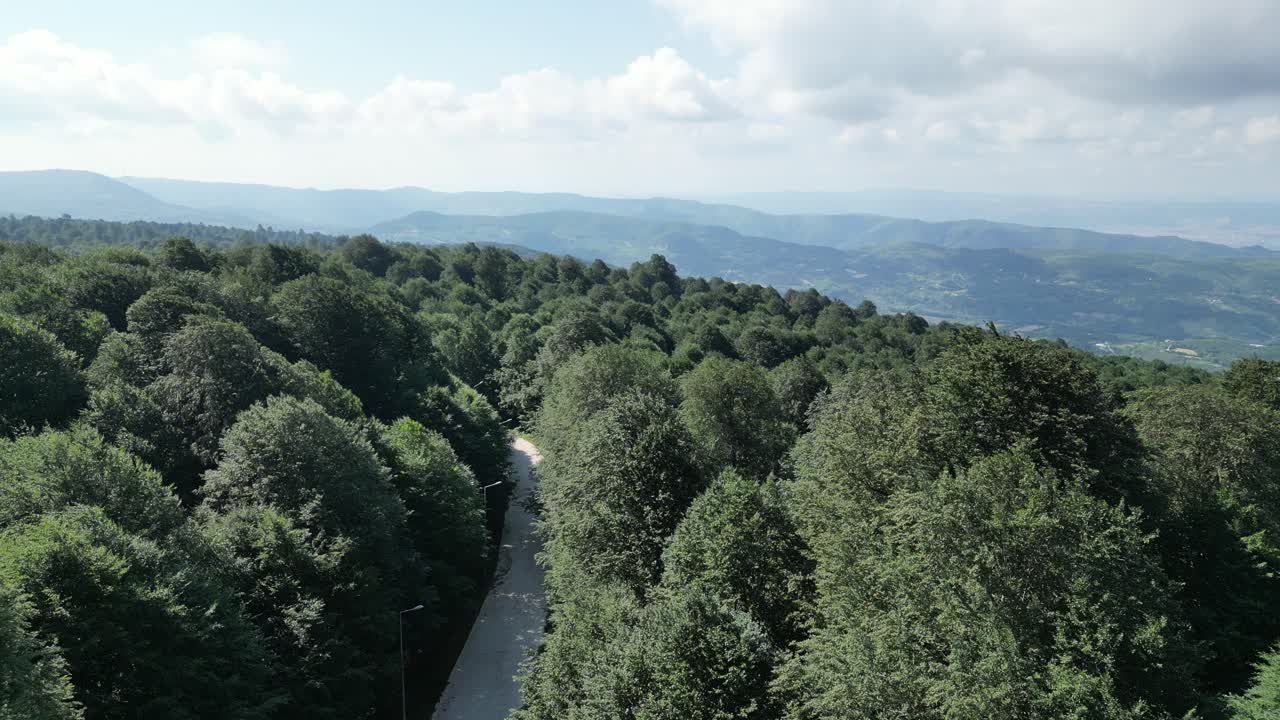 Drone image rising upwards from the forest walk area