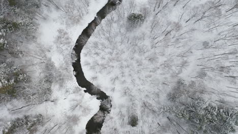 winter wonderland scenery with first snowfall on the barren landscape