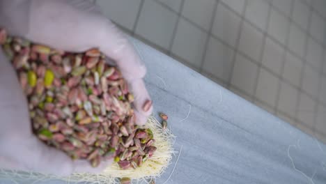 the chef of oriental sweets adds pistachios to the kunafa dough