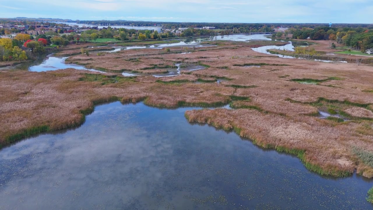 Macatawa-joki virratessaan Hollandin, Michiganin läpi – suoalue Tuulimyllysaaren puiston ja N River Avenuen välissä