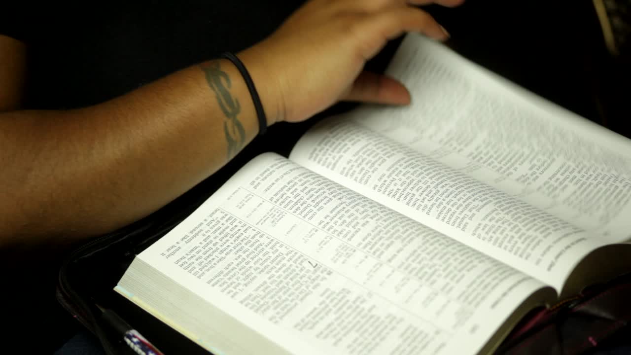 Person Reading the Holy Bible