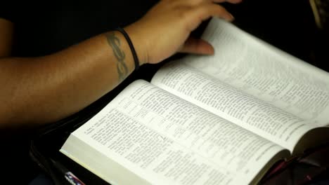 person reading the holy bible