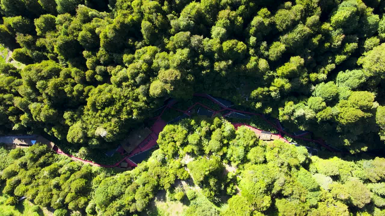 camión aéreo a la derecha del complejo de aguas termales termas geometricas, rodeado de densos bosques durante el día, coñaripe, chile