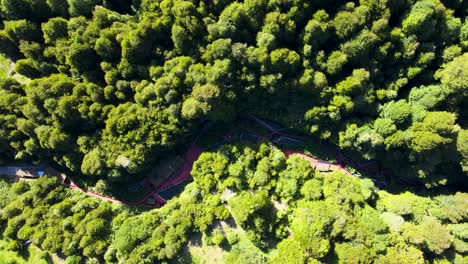 Camión-Aéreo-A-La-Derecha-Del-Complejo-De-Aguas-Termales-Termas-Geometricas,-Rodeado-De-Densos-Bosques-Durante-El-Día,-Coñaripe,-Chile