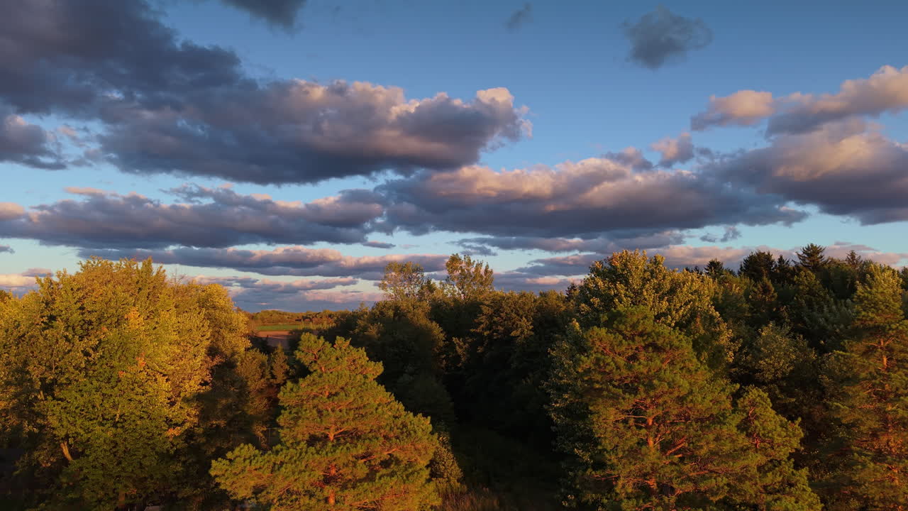 Scenic View of Trees and Clouds at Sunset