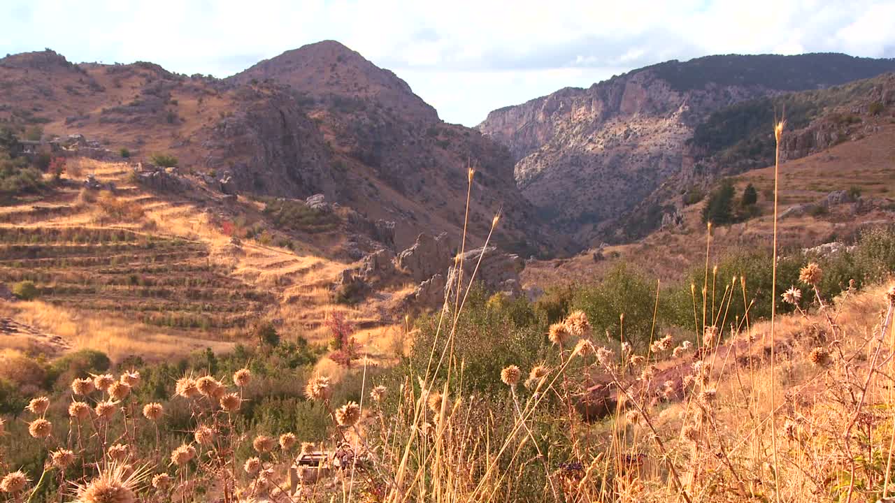 las hermosas colinas del norte de líbano brillan al sol
