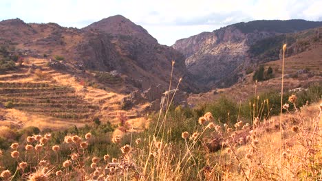 Die-Schönen-Hügel-Des-Nördlichen-Libanon-Leuchten-In-Der-Sonne