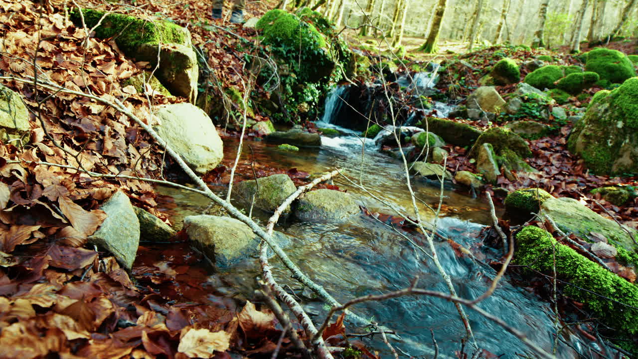 Flowing Water in Autumn Season in the Mountains Small Fresh Stream
