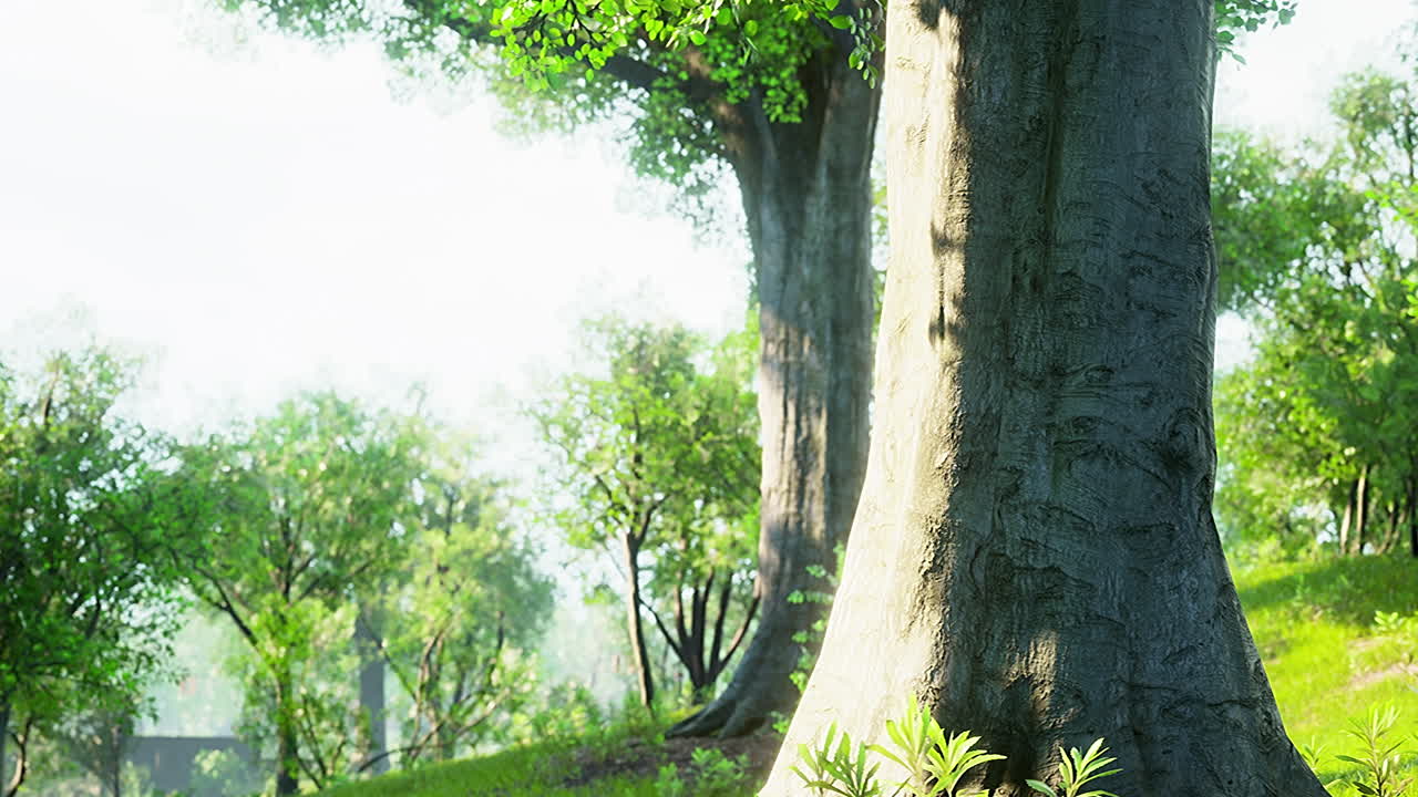 도시 의 초록색 잔디 ⁇  과 함께 공원 의 경치 좋은 전망