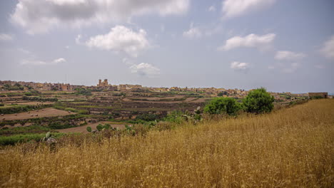 national sanctuary of the virgin of ta 'pinu in the distance